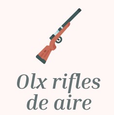 OLX RIFLES DE AIRE